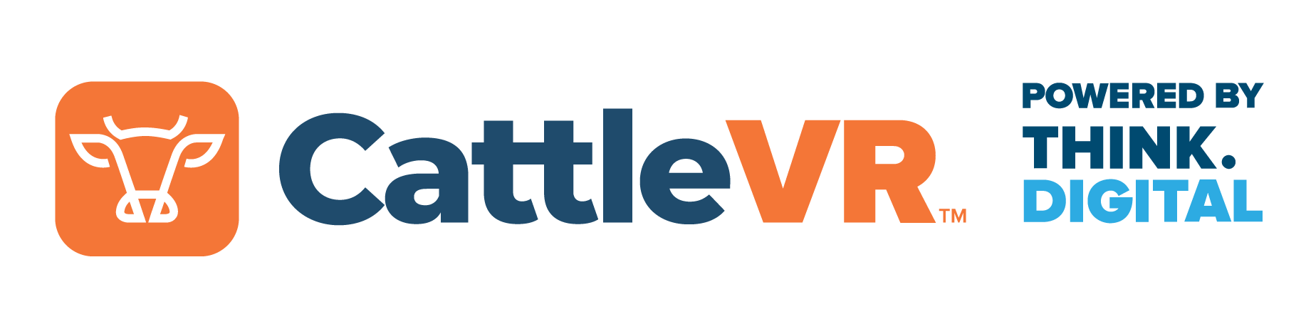 Think Digital Logo